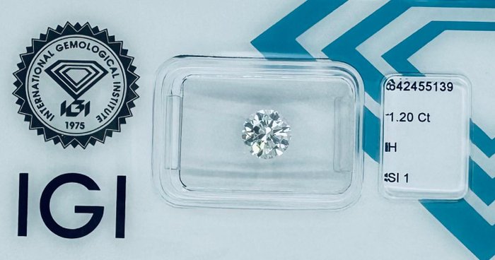 1 pcs Diamant  (Natur)  - 1.20 ct - Rund - H - SI1 - International Gemological Institute (IGI)