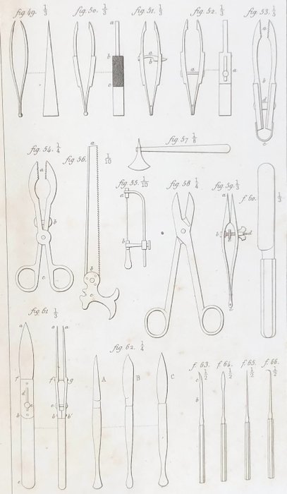 Hercule Straus-Durckeim - Traité pratique et théorique d'anatomie comparative - 1843