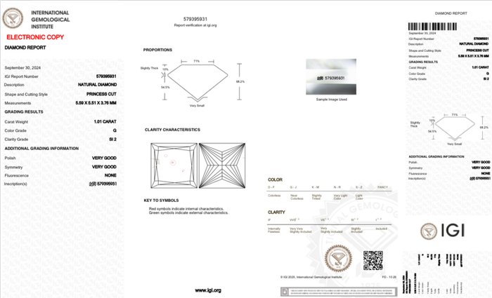 1 pcs Diamant  (Natur)  - 1.01 ct - Kvadrat - G - SI2 - International Gemological Institute (IGI)