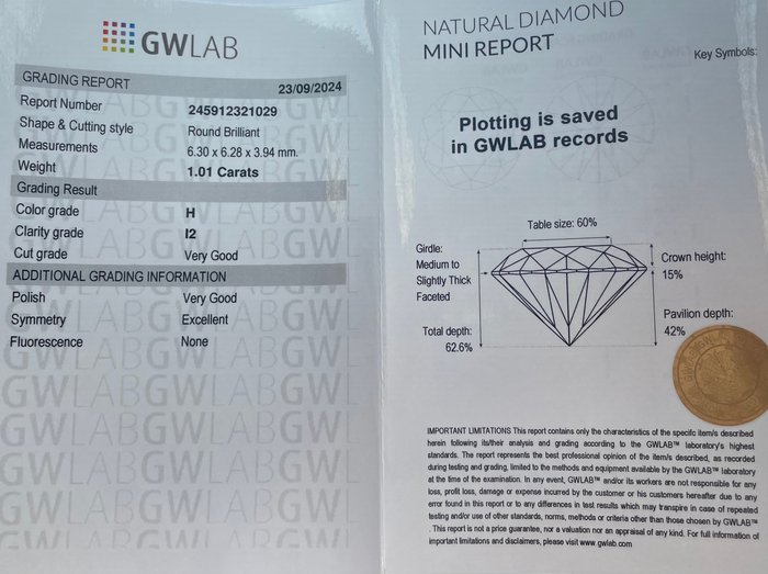 Ingen mindstepris - 1 pcs Diamant  (Natur)  - 1.01 ct - Rund - H - I2 - Gemewizard Gemological Laboratory (GWLab)