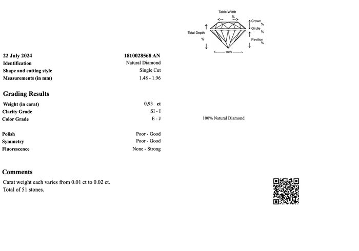 Ingen mindstepris - 51 pcs Diamant  (Natur)  - 0.93 ct - E, J - I3, SI1 - Gem Report Antwerp (GRA) - Rund enkelt snit