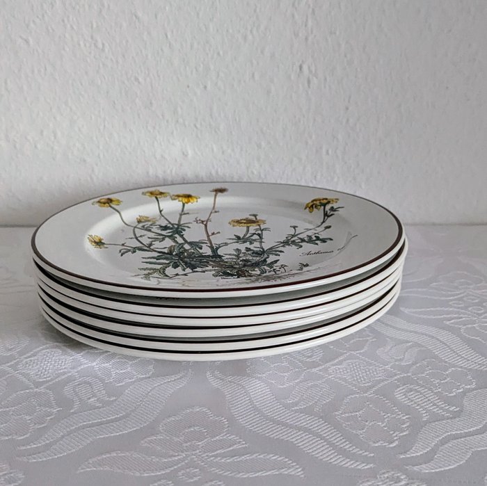 Villeroy  Boch - Bordservice (6) - Botanica - Vitro porcelæn - Middagstallerken, middagstallerken