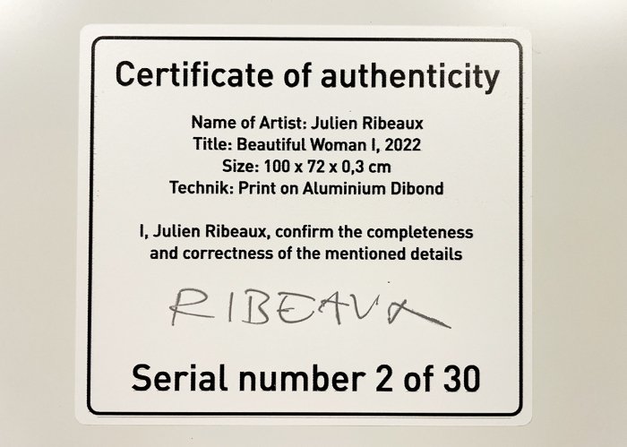 Julien Ribeaux - Beautiful Woman I