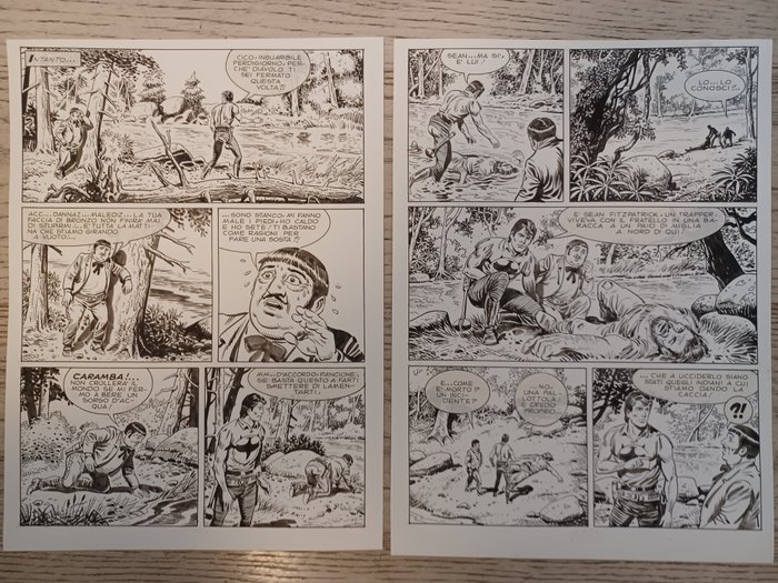 Bignotti, Franco - 2 Original page - Zagor - Il Forte del tradimento - 1986