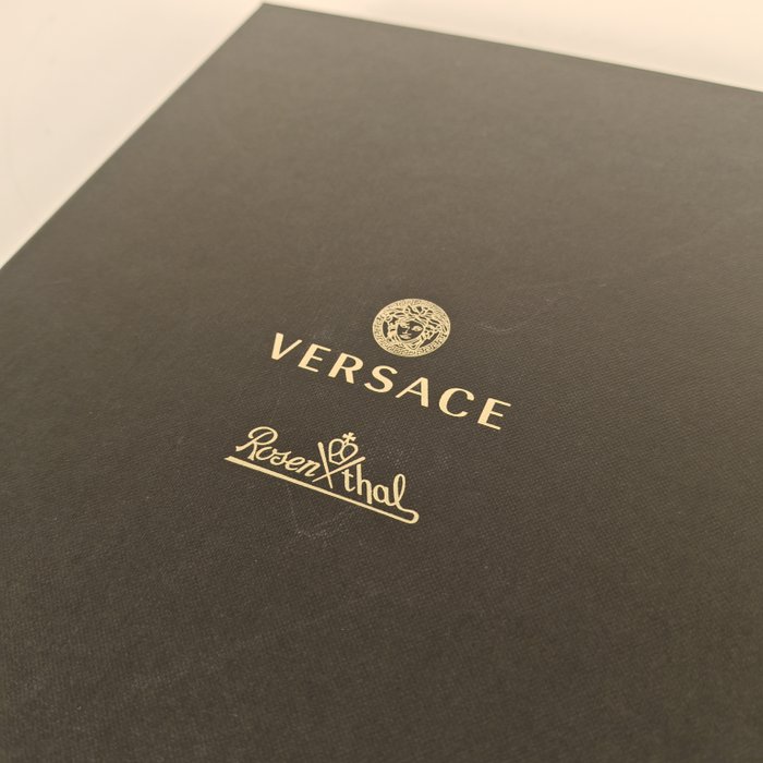 Versace x Rosenthal - Billedramme  - Glas