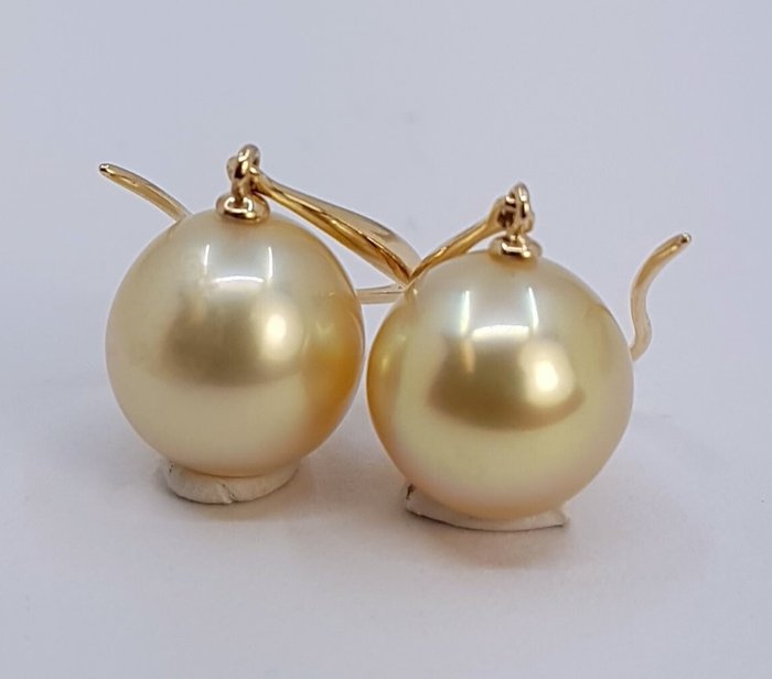 Ingen mindstepris - Øreringe - 14 karat Gulguld - 9x10mm South Sea Pearls