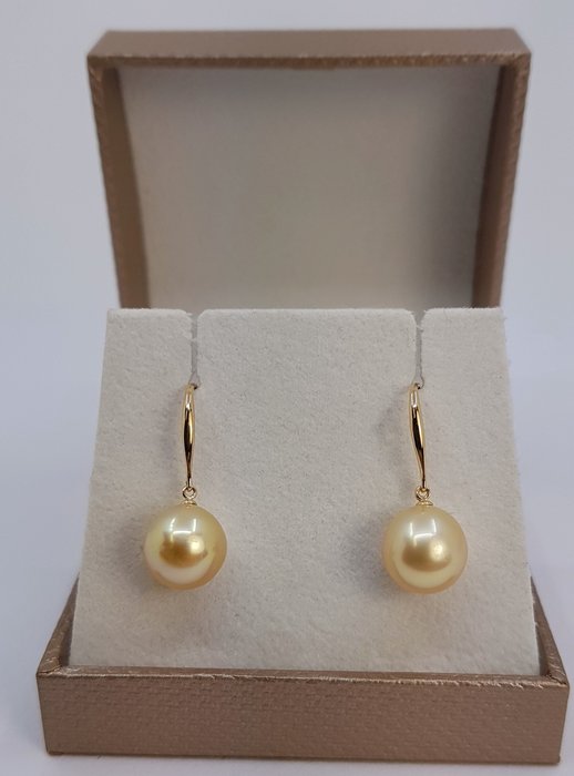 Ingen mindstepris - Øreringe - 14 karat Gulguld - 9x10mm South Sea Pearls