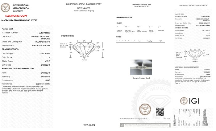 Øreringe Platin -  4.01ct. tw. Diamant (Laboratoriedyrket) - Rund E-VVS2