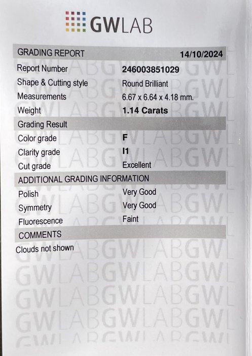 Ingen mindstepris - 1 pcs Diamant  (Natur)  - 1.14 ct - Rund - F - I1 - Gemewizard Gemological Laboratory (GWLab)