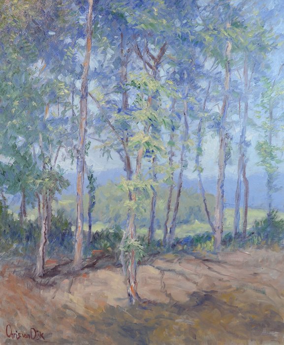 Chris van Dijk  (1952) Impressionist - " Paysage en Morvan "