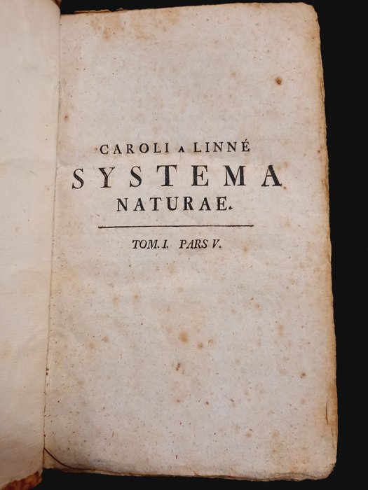 Caroli a Linné - Systema Naturae - 1767