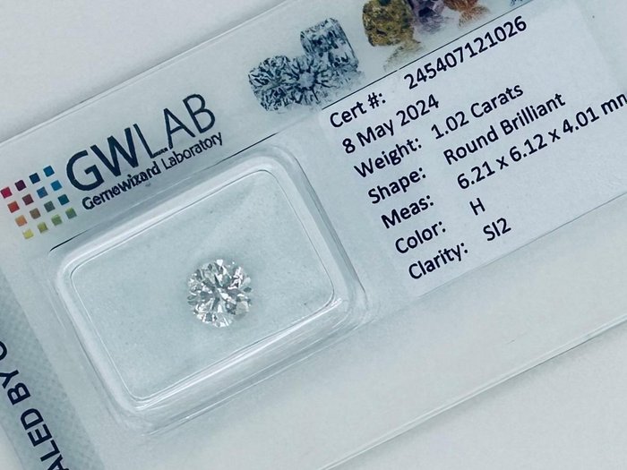 1 pcs Diamant  (Natur)  - 1.02 ct - Rund - H - SI2 - Gemewizard Gemological Laboratory (GWLab)