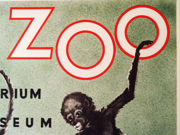 Robert Landois - ZOO Anvers Aquarium  Museum - 1954