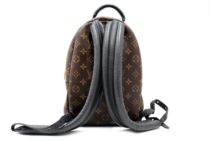 Louis Vuitton - Palm Springs Backpack Mini - Rygsæk