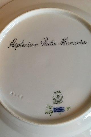 Royal Copenhagen Flora Danica Dinner Plate No 735/3549