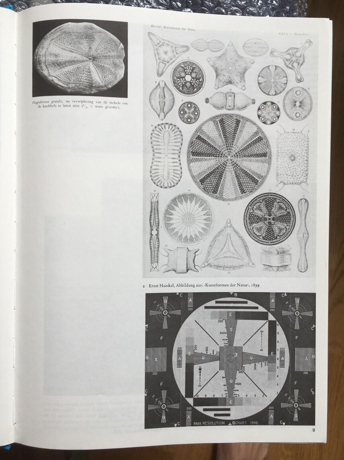 Parallel Encyclopedia Volume One