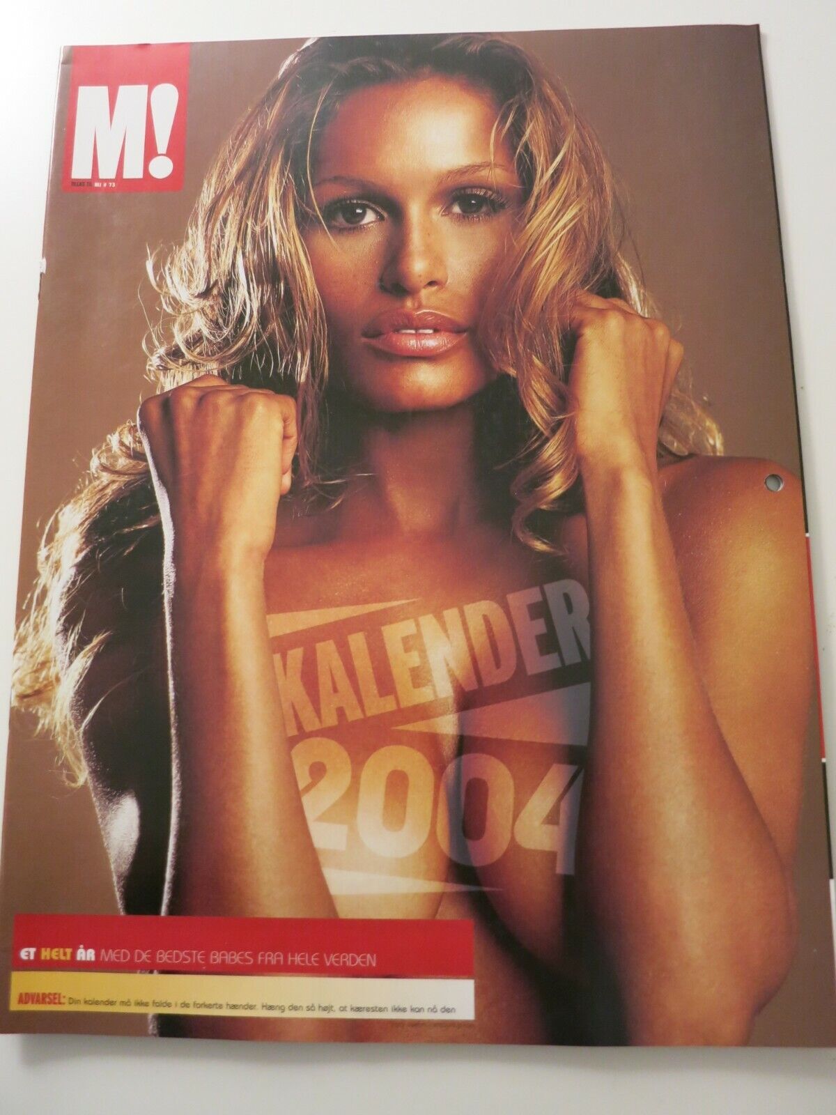 Calendar 2004 TIFFANY TAYLOR Lisa Snowdon AVA MARTINEZ Alex Leigh HAYLEY FI AB14