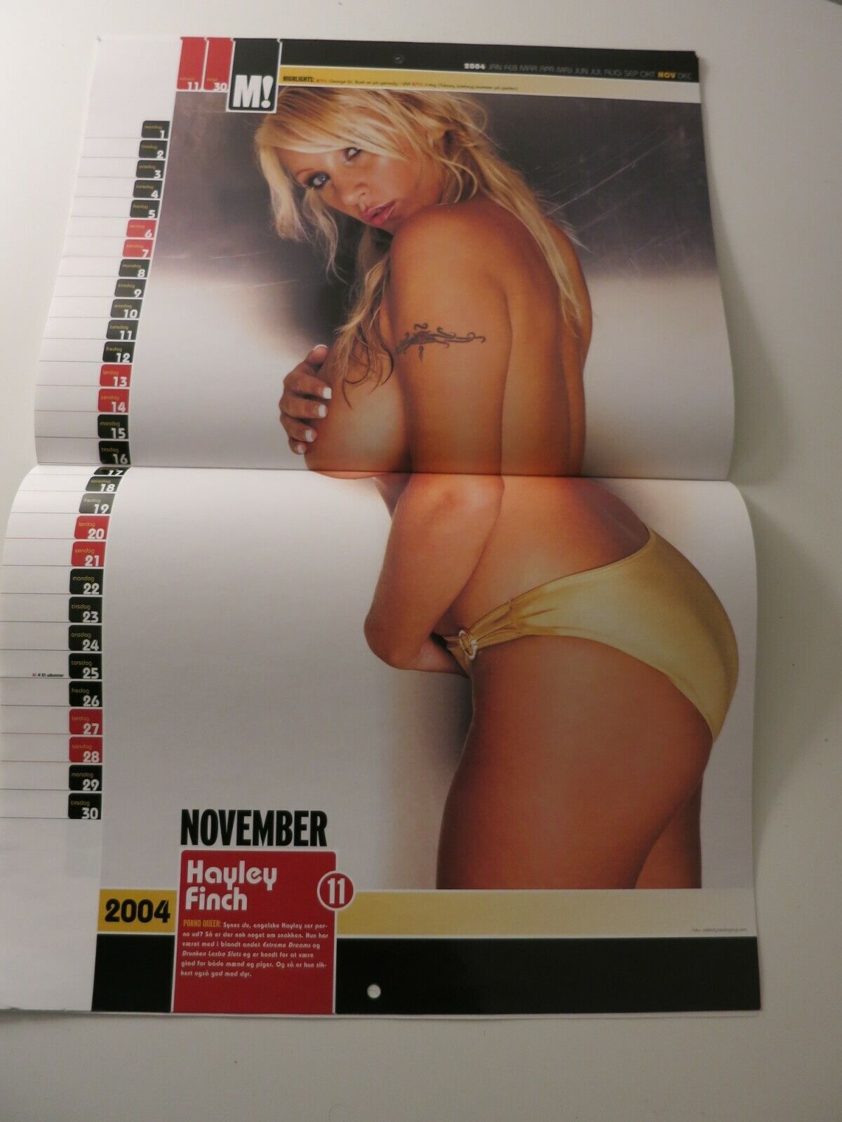 Calendar 2004 TIFFANY TAYLOR Lisa Snowdon AVA MARTINEZ Alex Leigh HAYLEY FI AB14