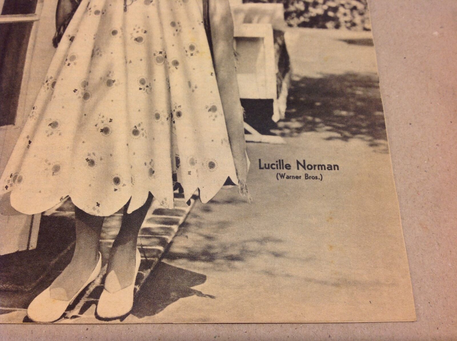 Lucille Norman Warner Bros Front Cover Old Original Vintage Danish Magazine 1952