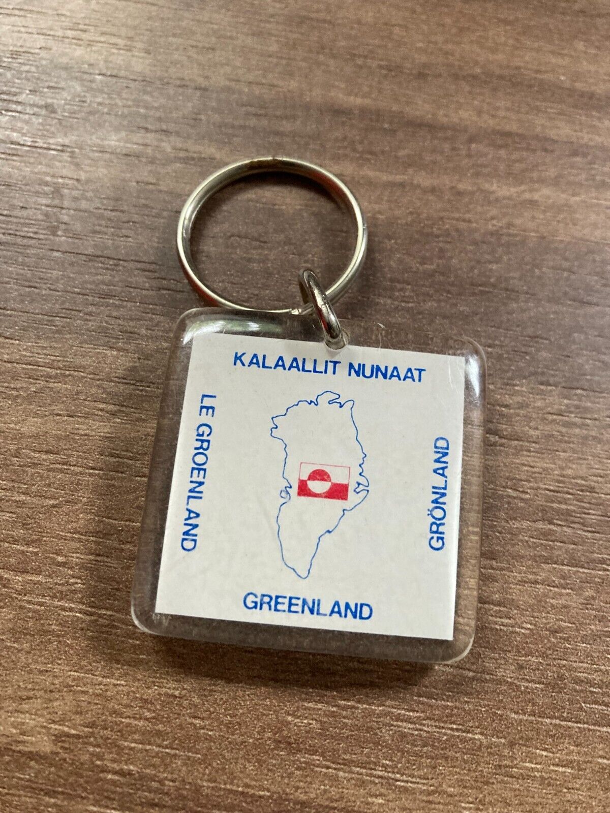 Vintage Greenland Plastic Keychain - Kalaallit Nunaat Souvenir - Land of Man