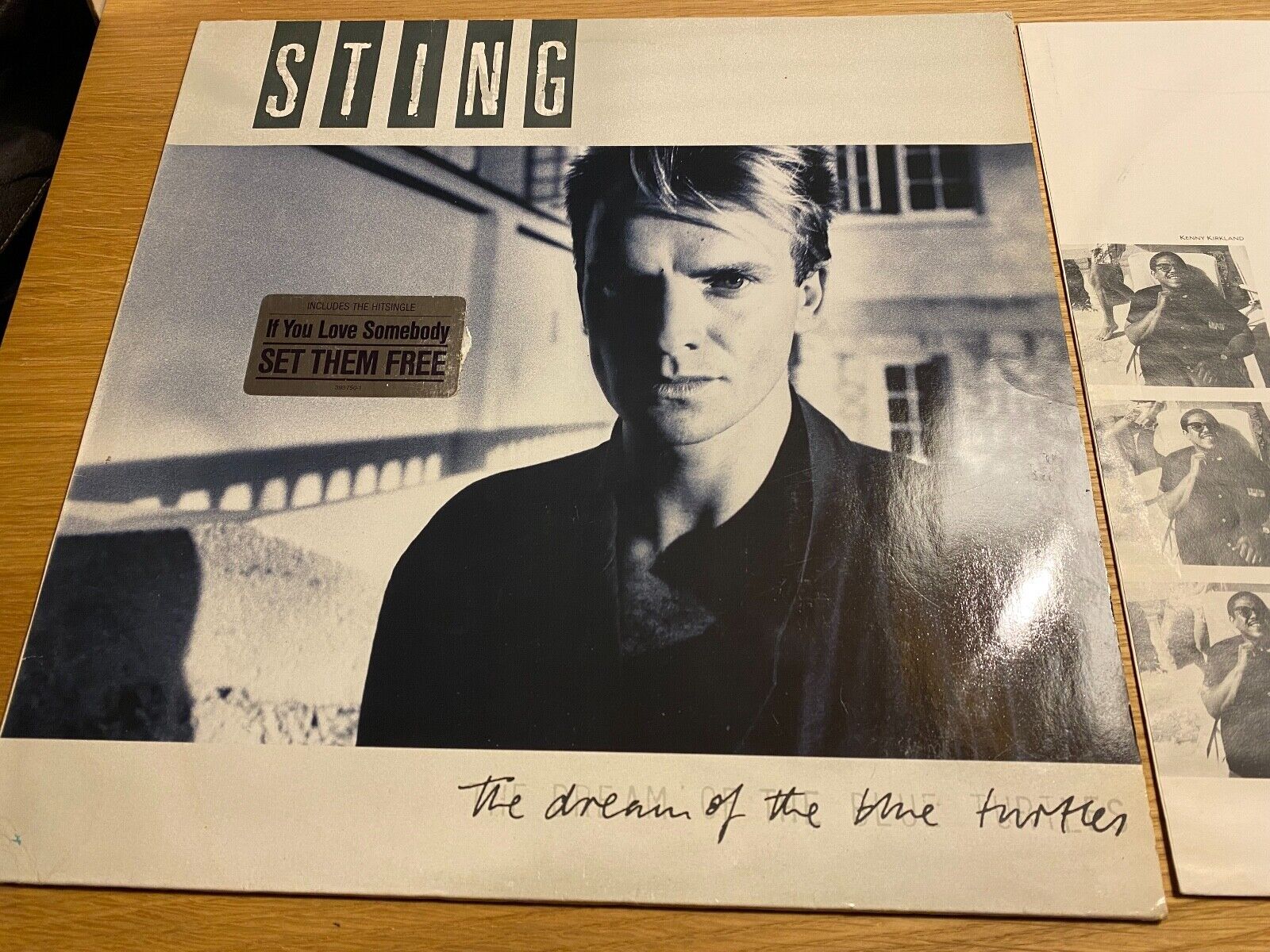 STING "THE DREAM OF THE BLUE TURTLES" A  M RECORDS 1985 10 TRACK LP INNERSLEEVE