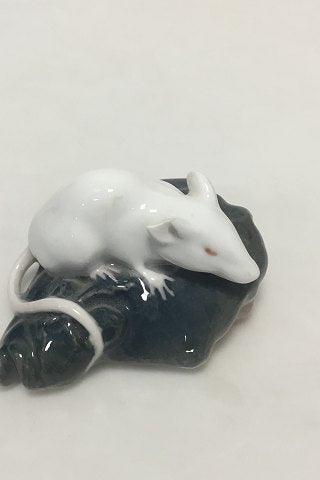 Royal Copenhagen Figurine of white Mouse on the head of a Plaice