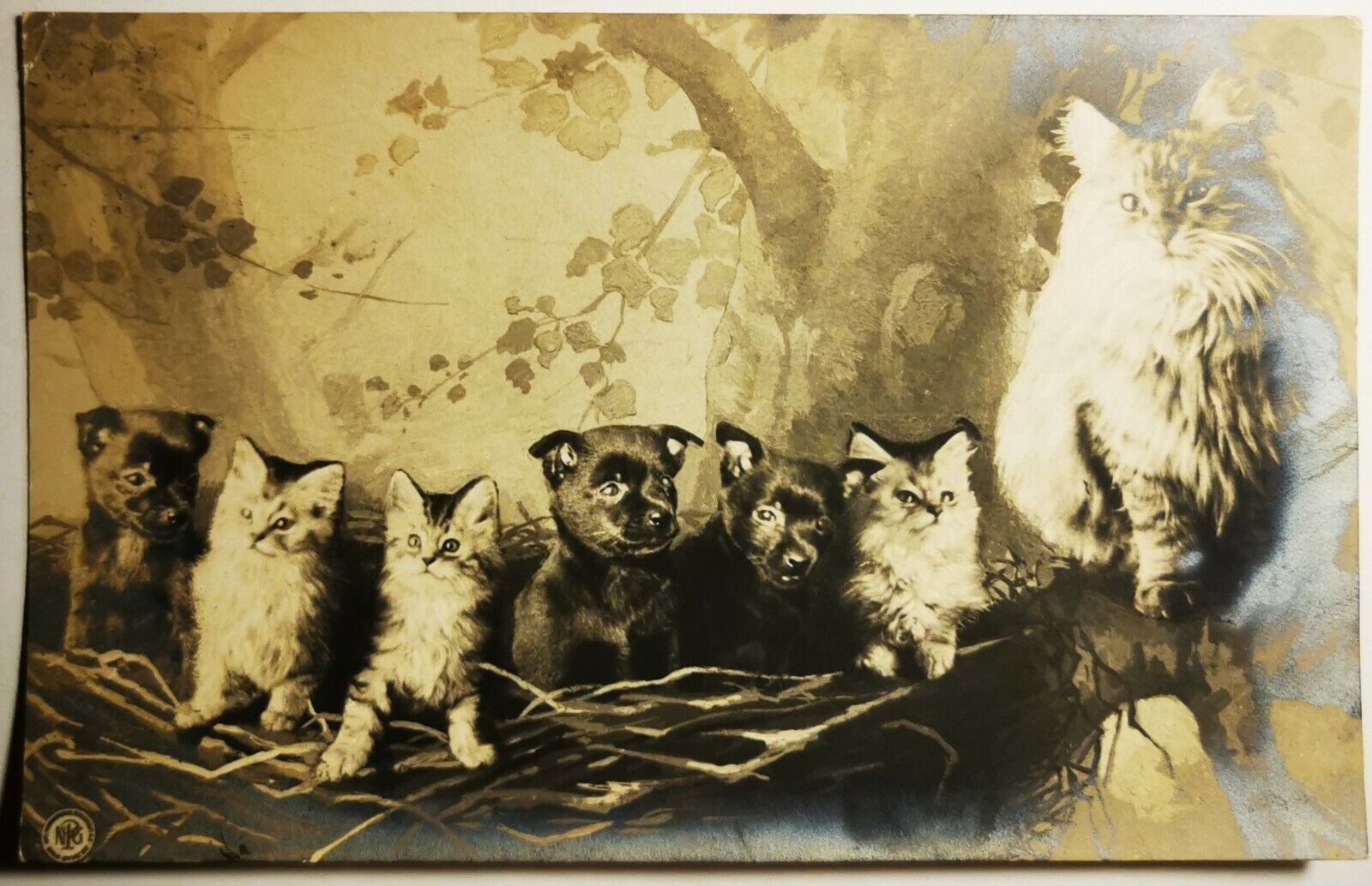 Cat postcard: Mother takes care of her three kittens and three puppies  pok1453