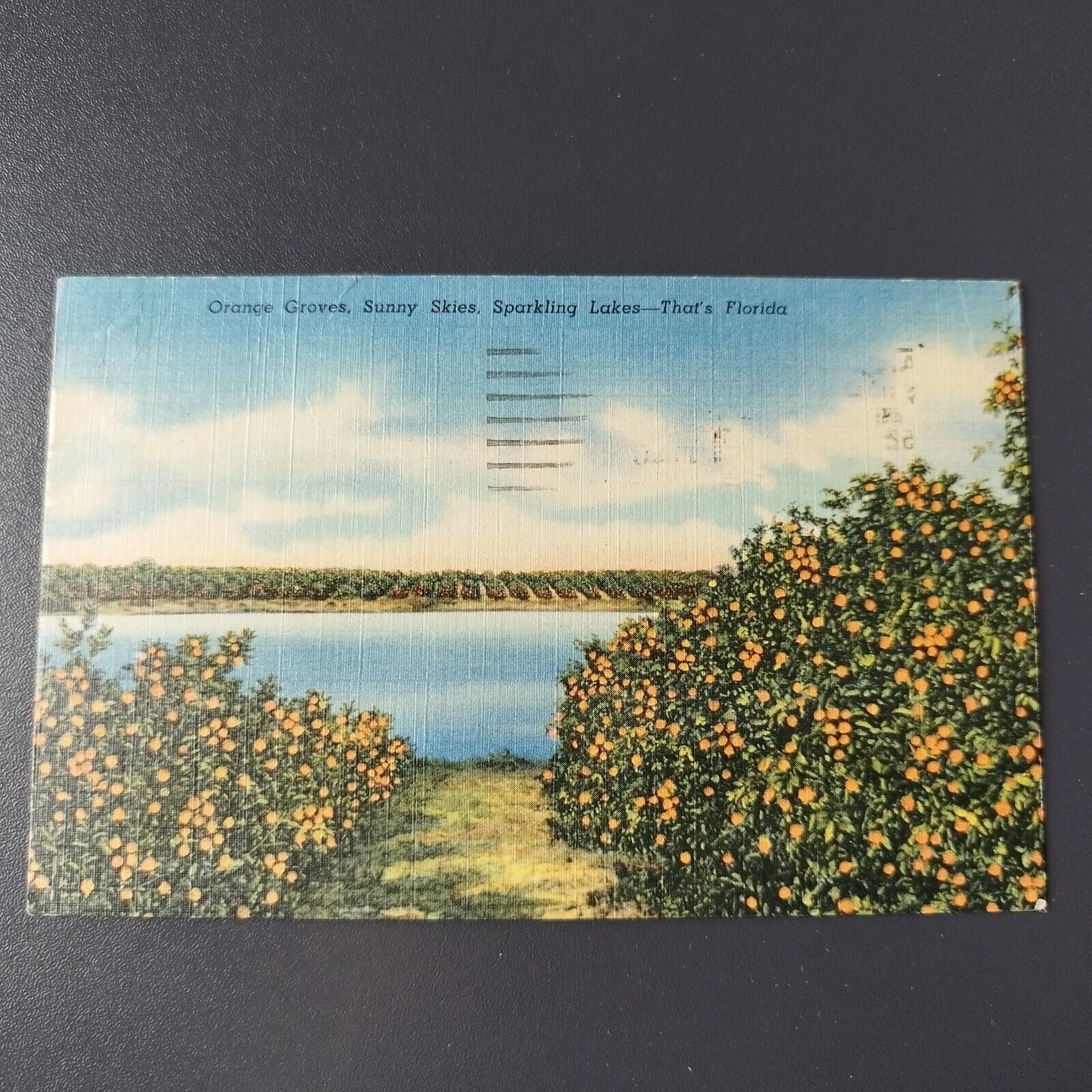 Florida Orange GroveSunny SkiesSparkling Lakes That's Florida 1952