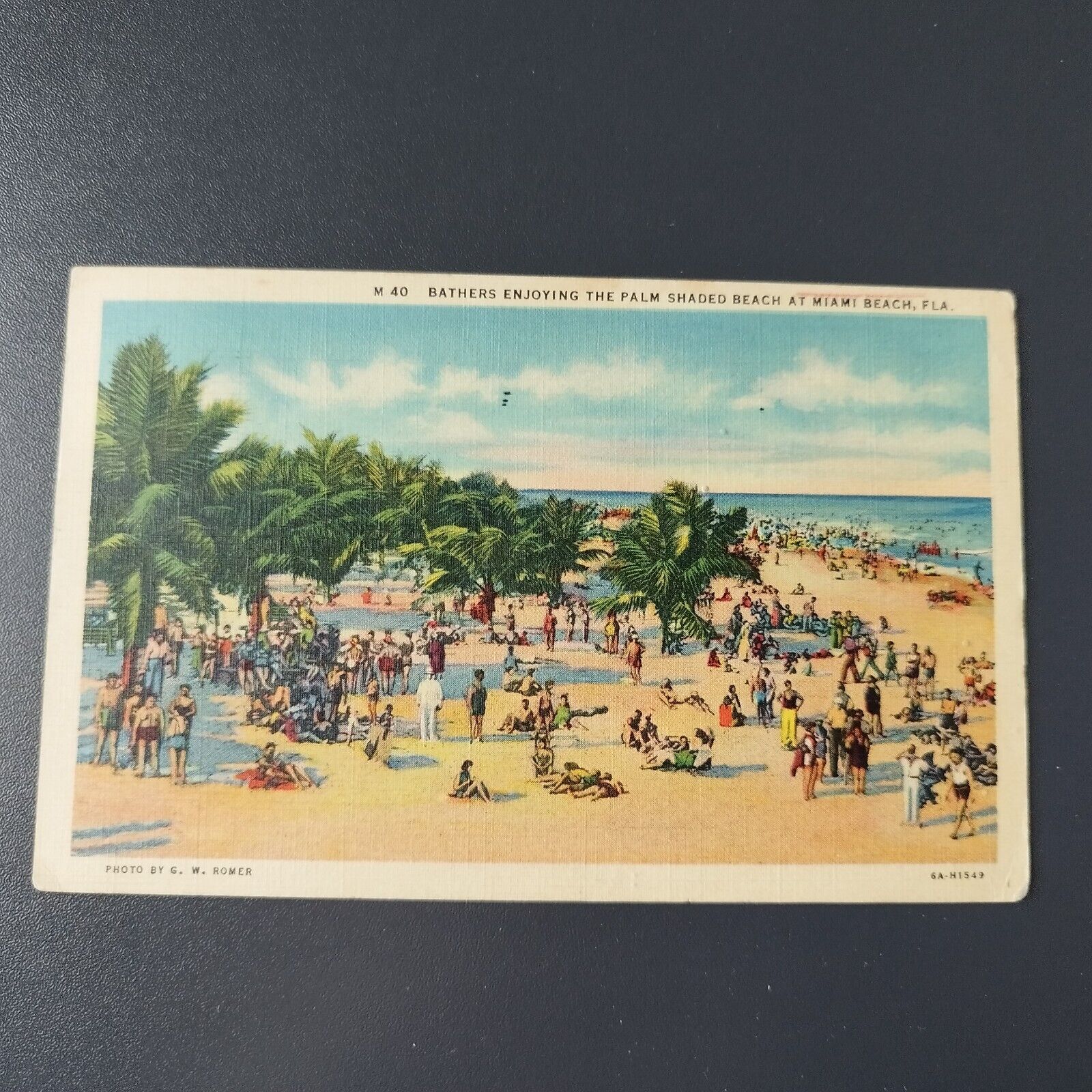 Florida Bathers enjoying the palm shaded beach at Miami Beach