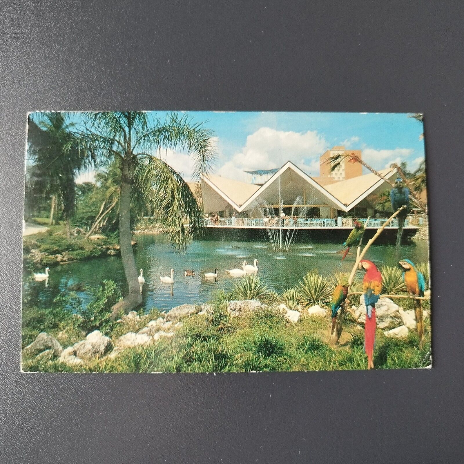 Florida Hospitality House Busch Gardens Tampa Posted in 1965