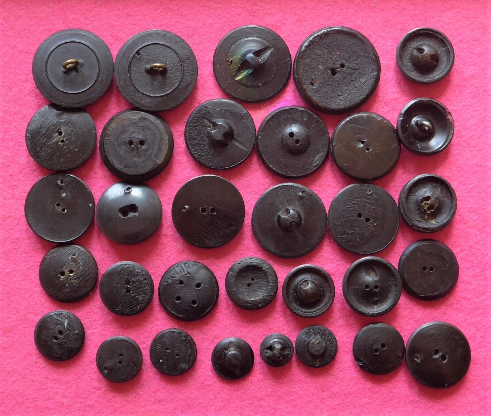 32 COLLECTABLE VICTORIAN ANTIQUE pressed BLACK BOVINE HORN buttons (21)