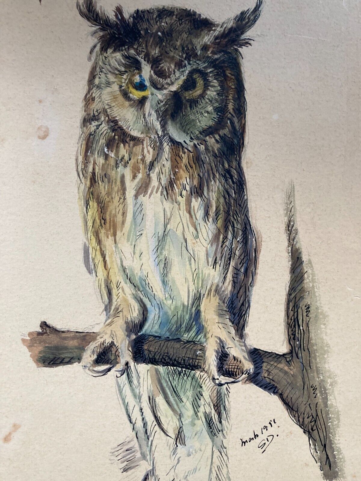 Owl Watercolor Drawing - Hand-Signed Nature Art Artwork 17*20cm