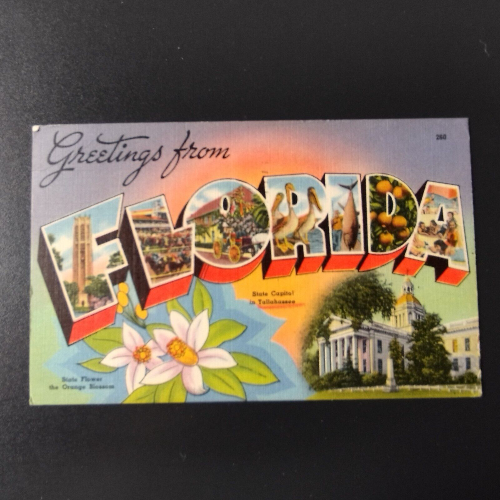 Florida  Greetings from Florida Posted in 1958