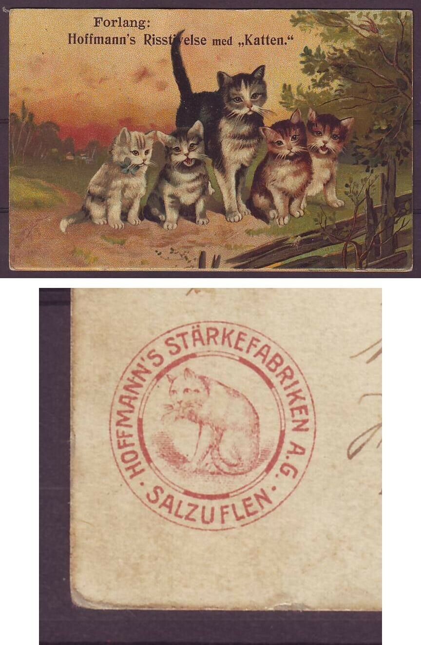 g1785/ Denmark Postcard 1907 # Cat Commercial "Katten" w/Beautiful Cats LOGO