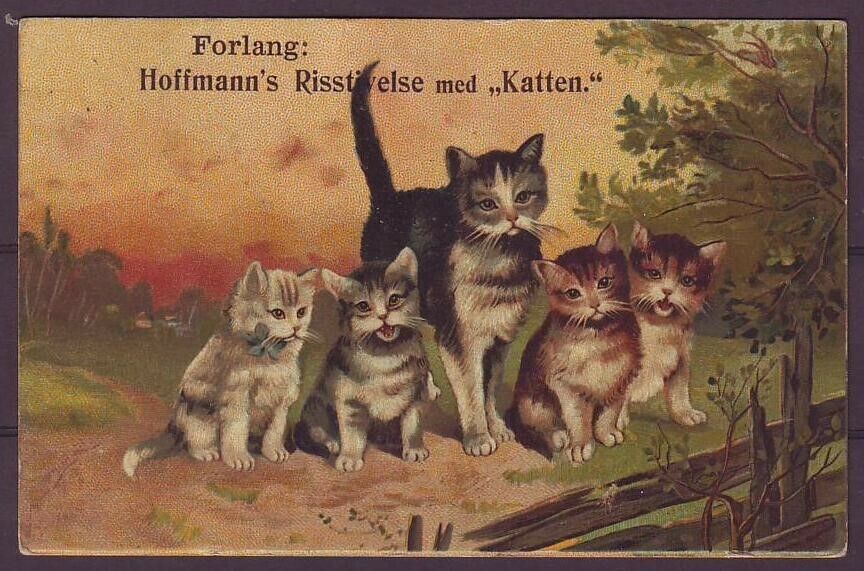 g1785/ Denmark Postcard 1907 # Cat Commercial "Katten" w/Beautiful Cats LOGO