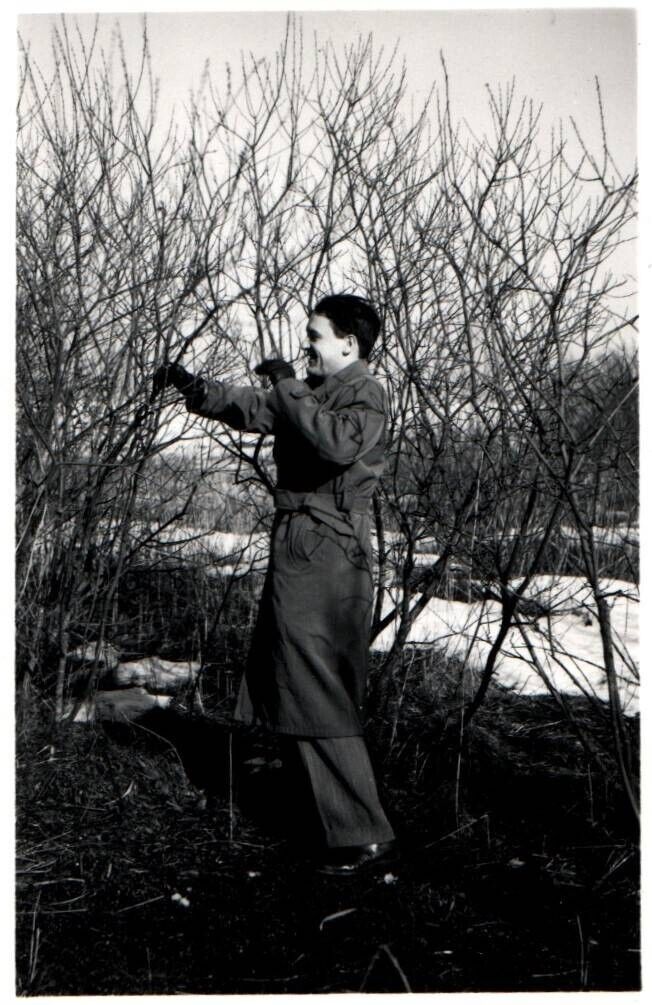 Man by Tree Life in Denmark 1900 - 1950s Rare Vintage Photo Small Size 9x6cm