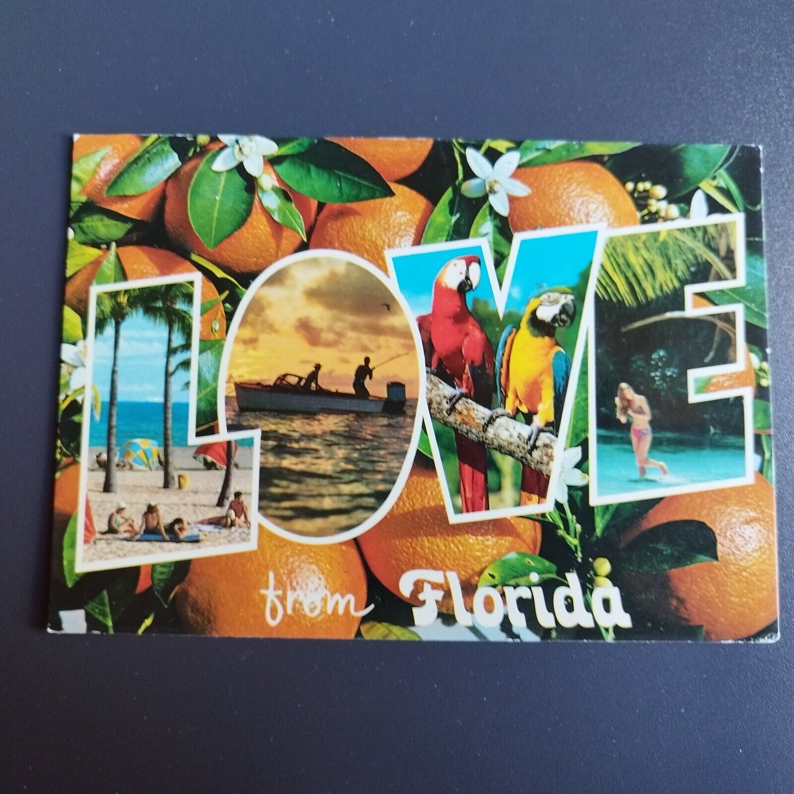 Florida Love from Florida Posted in 1988