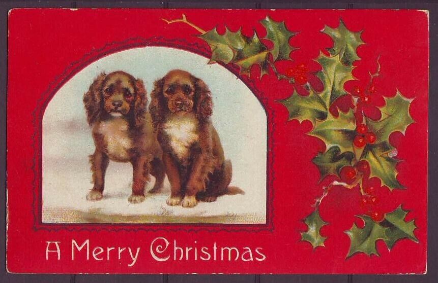 g1786/ Merry Christmas Postcard 1911 # Two Dogs