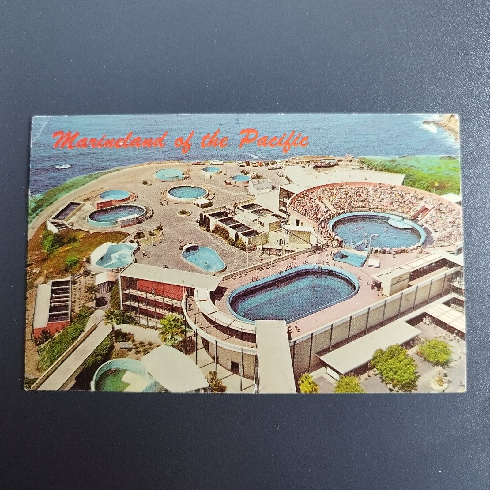 California Marineland Of The Pacific Rancho Palos Verdes - 1968