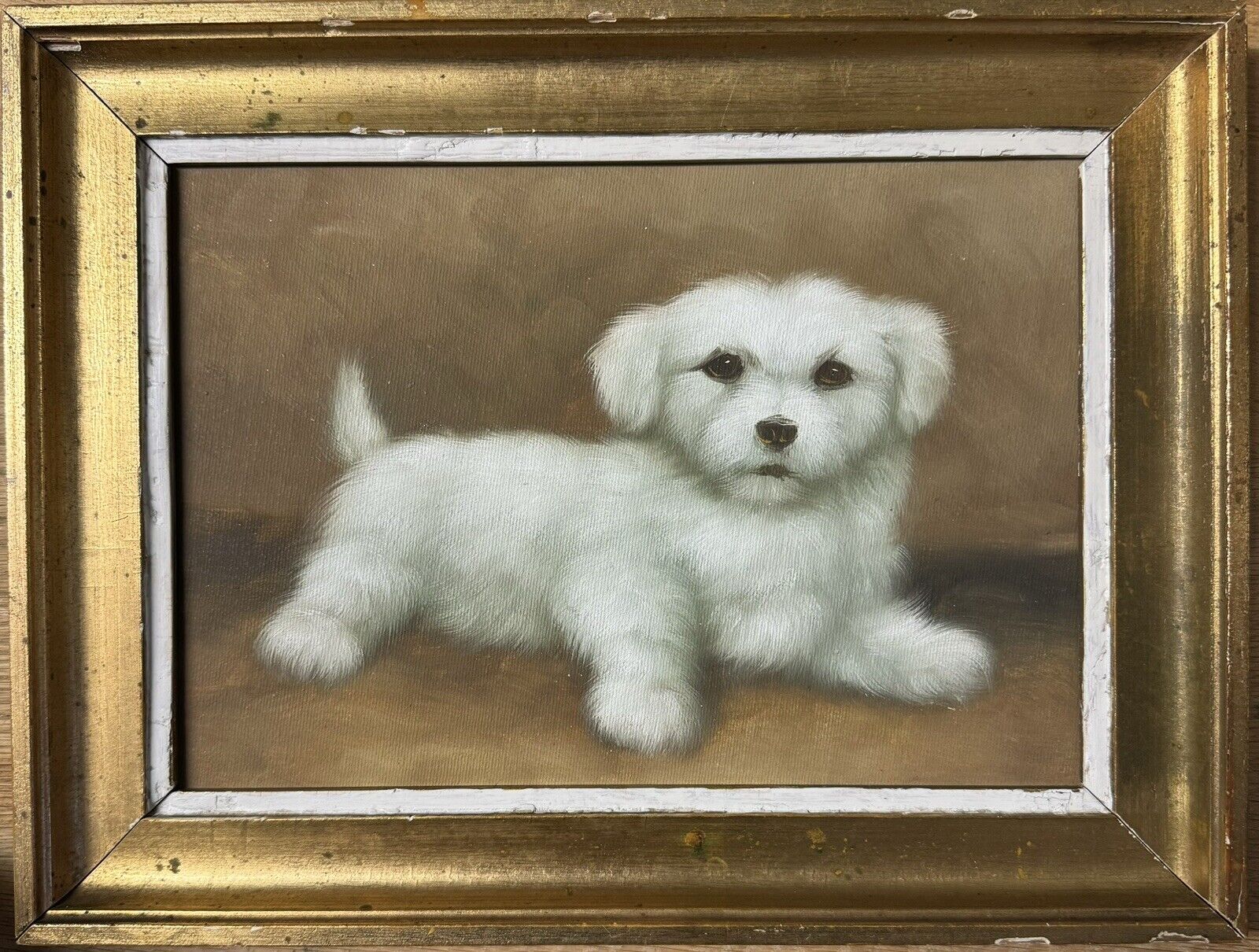 Vintage Framed Oil Painting: Cute Portrait Of Small White Dog Posing Lying Down