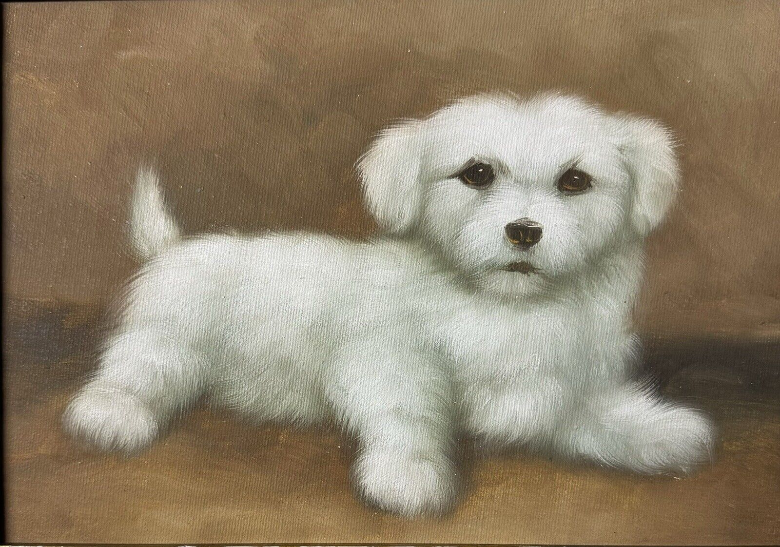 Vintage Framed Oil Painting: Cute Portrait Of Small White Dog Posing Lying Down