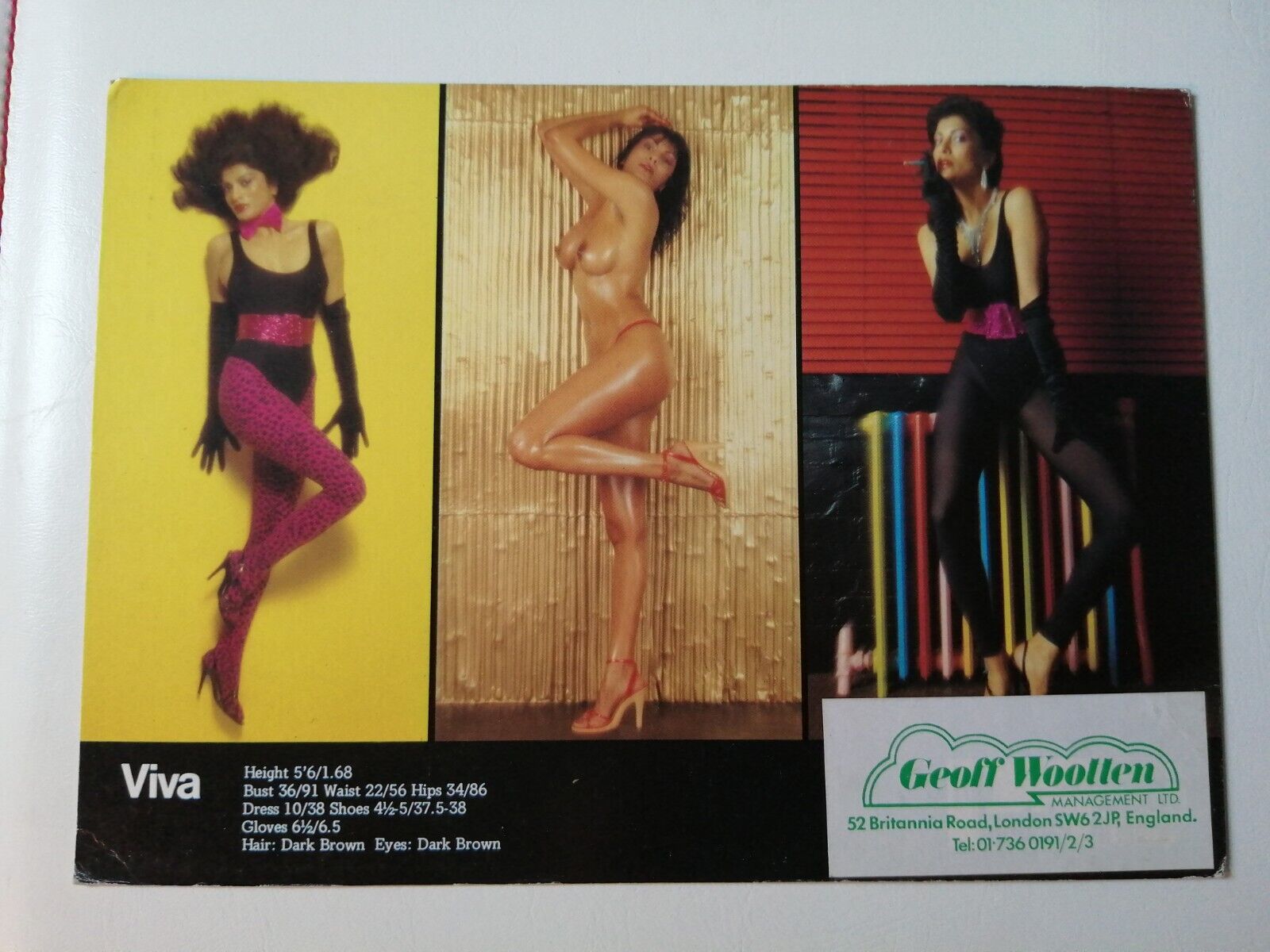 Vintage  English  model comp card from 1970s/1980sVIVA