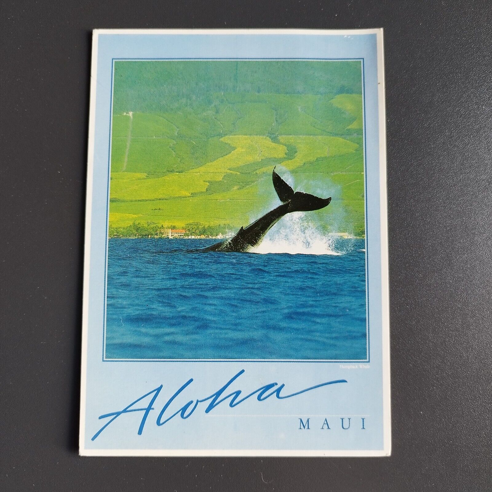 Hawaii Aloha from Maui  Humpback Whale 1990