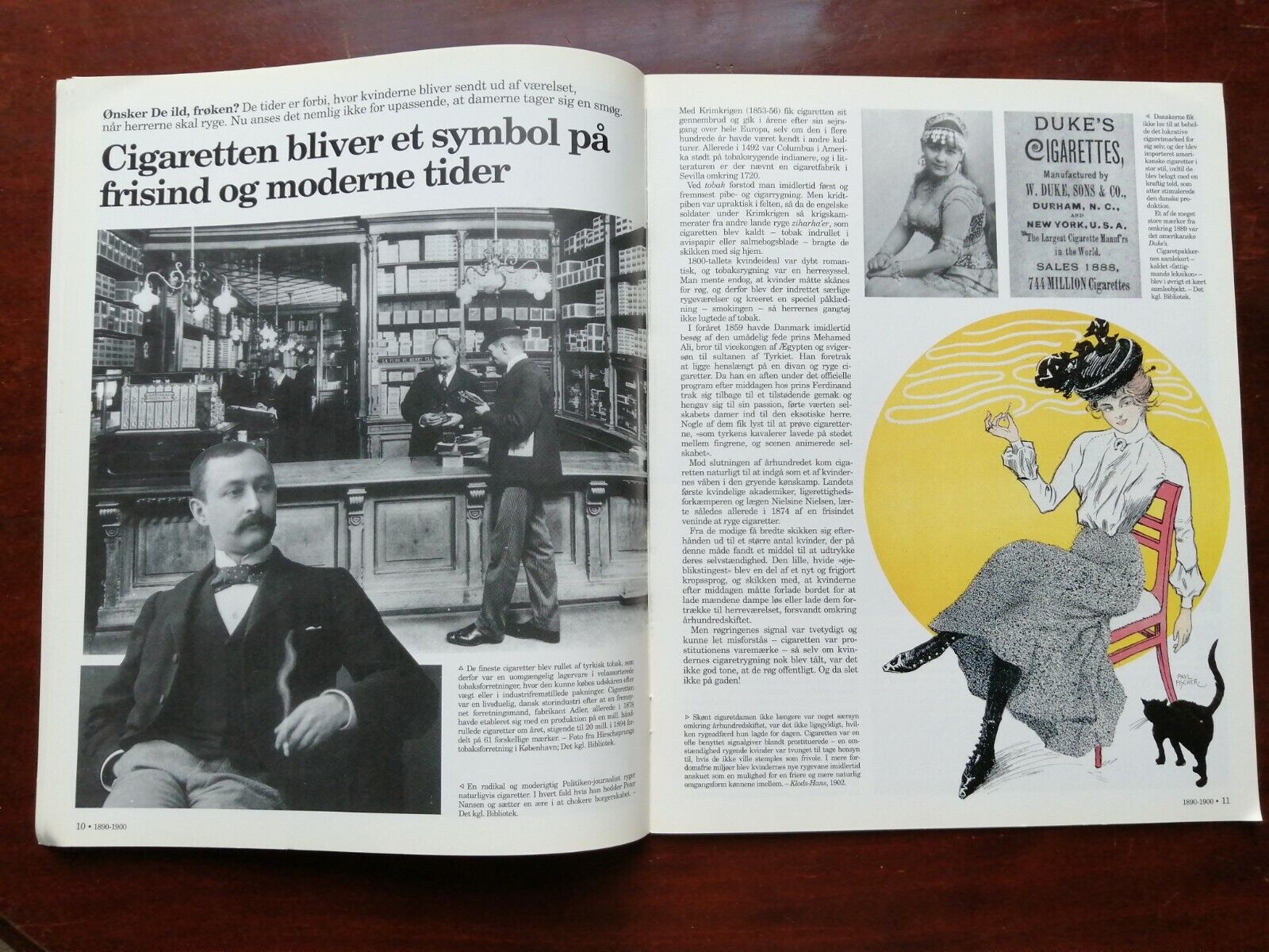 Fogtdals Illustreret Tidende:Picand stories of Danish life 1890-1900No 11 1993