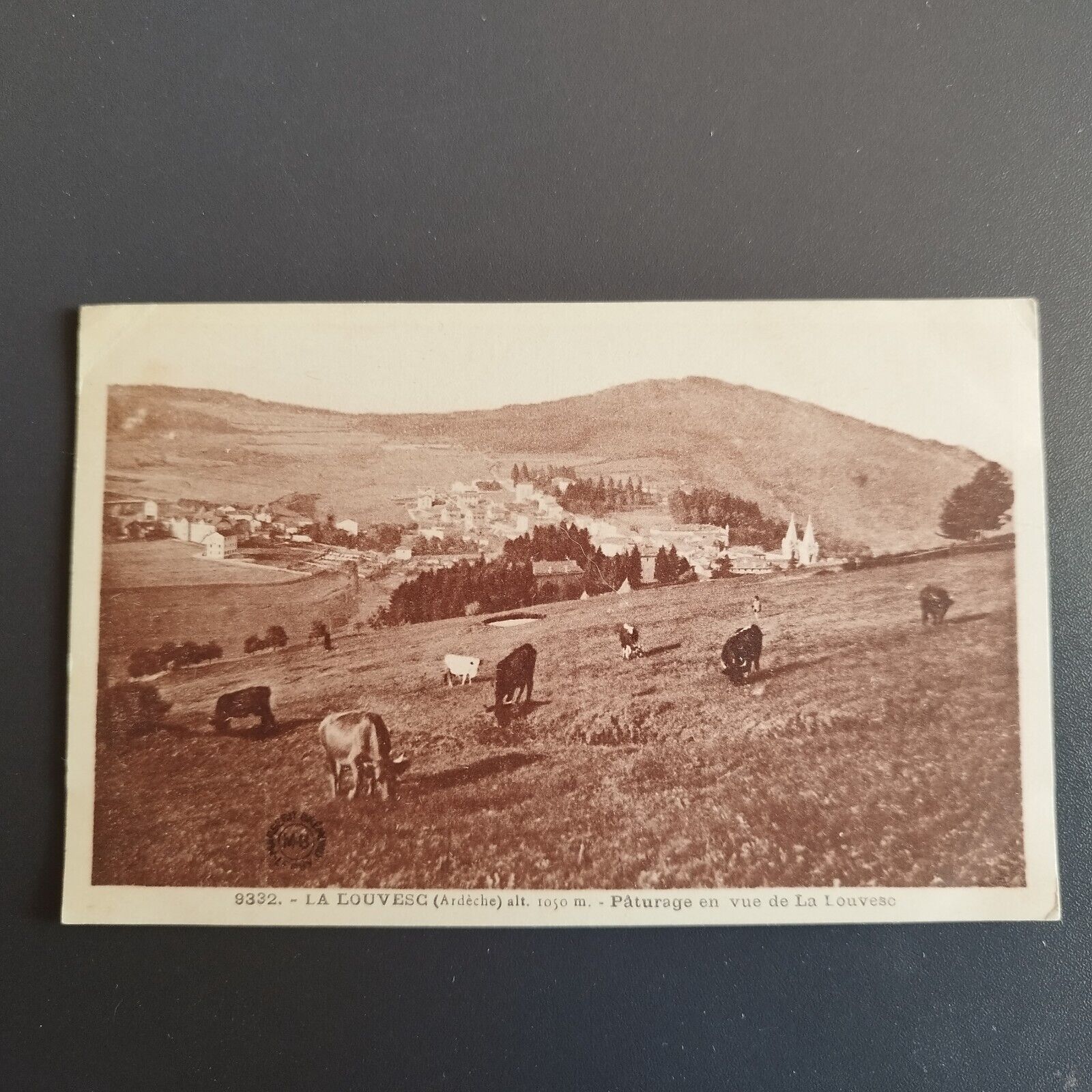 FRANCE -9332-La Louvesc (Ardeche)-Pâturage en vue de La Louvesc 1933