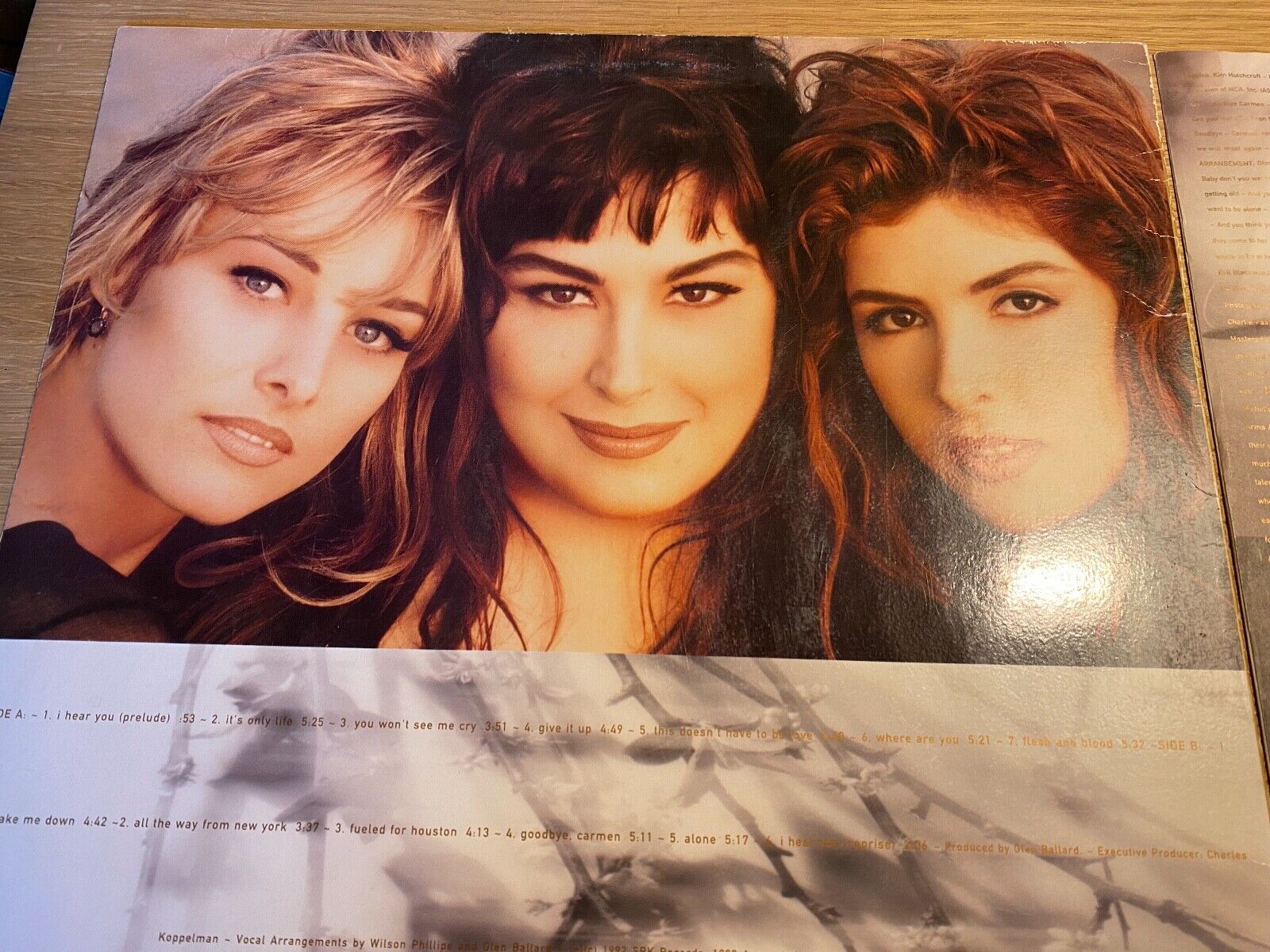 WILSON PHILLIPS SHADOW  LIGHT 1992 ALBUM WGERMAN LP OUT OF PRINT PRESSING USED