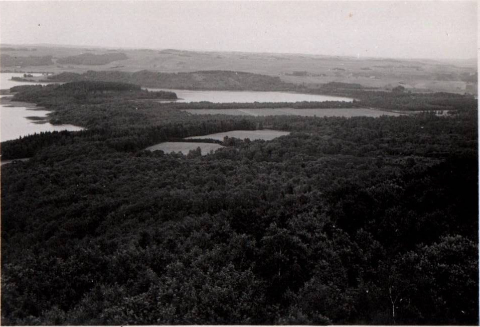 Landscape Life in Denmark 1900 - 1950s Rare Vintage Photo Small Size 9x6cm