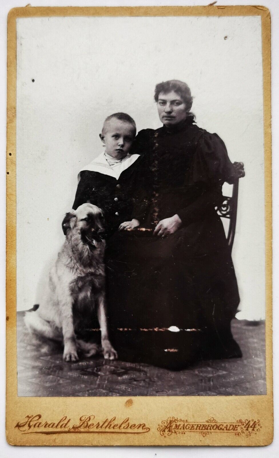 CDV photo: Mother and son next to family dog a german sheperd  Fo474