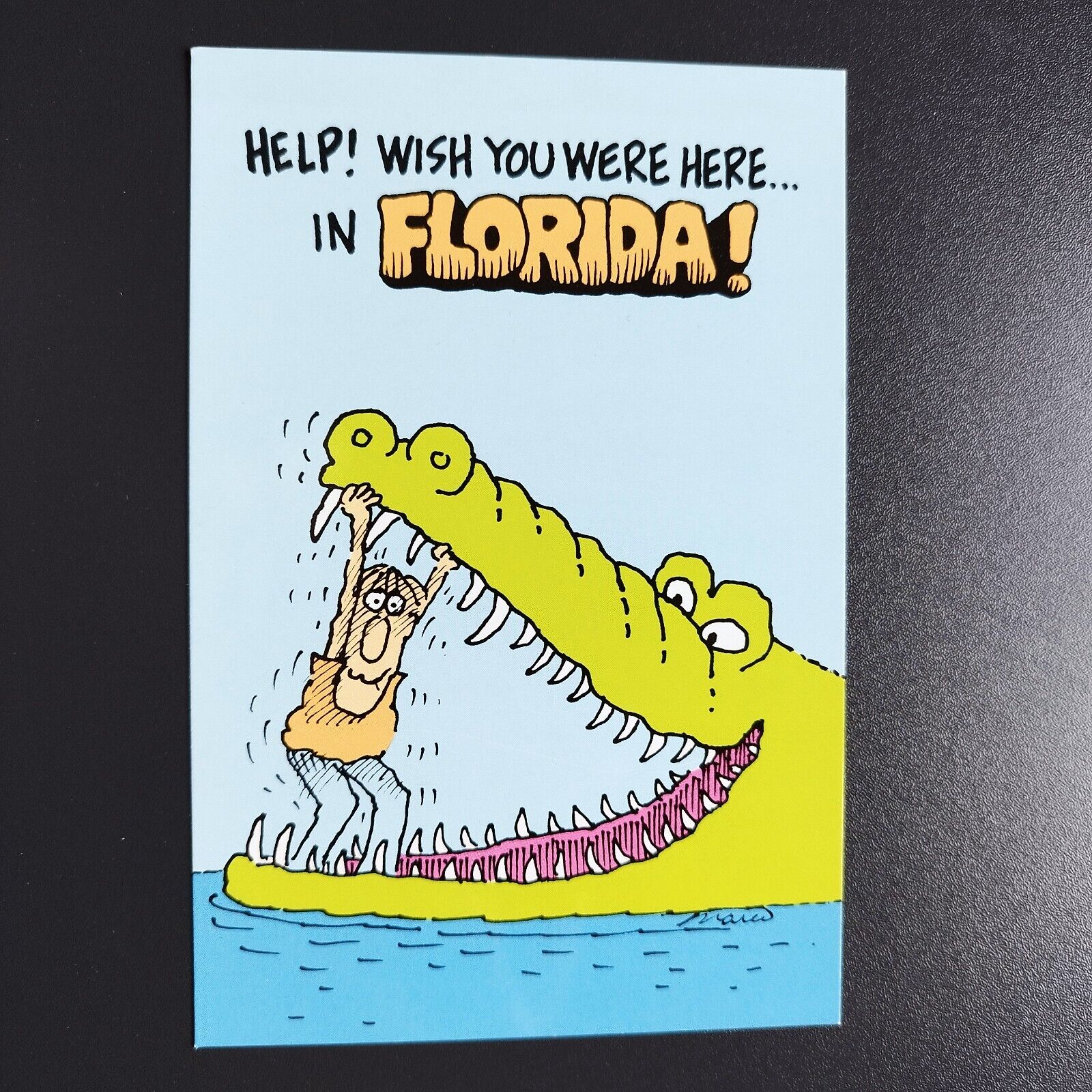 Florida "Help ! Wish You Were Here In Florida"