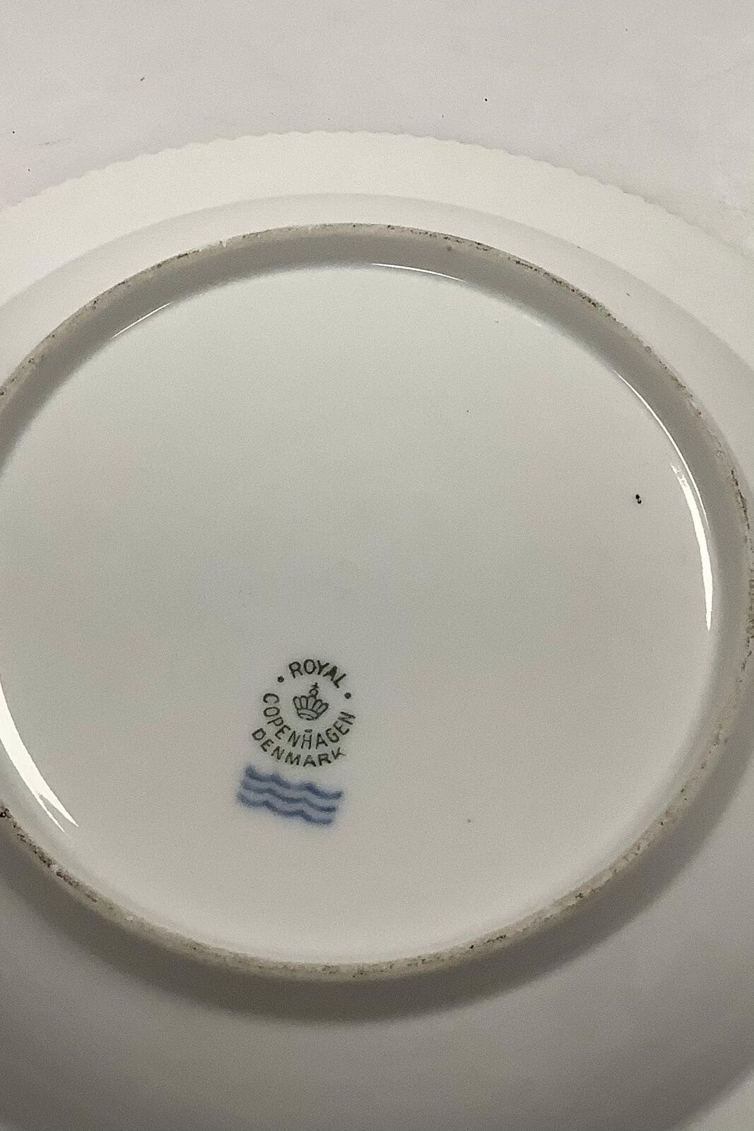 Royal Copenhagen Privately painted Flora Danica Dinner plate not finished